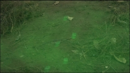 Shaitani Rasmein - 30th August 2024